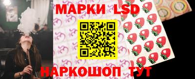 стаф Краснодар