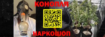 стаф Краснодар