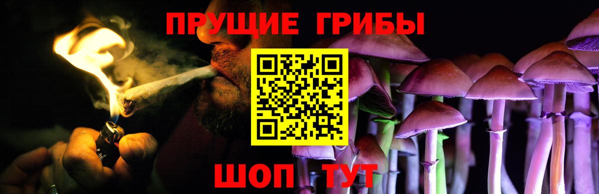 Галлюциногенные грибы GOLDEN TEACHER  Псилоцибиновые грибы Psilocybine cubensis  Вход с VPN  Ефремов 